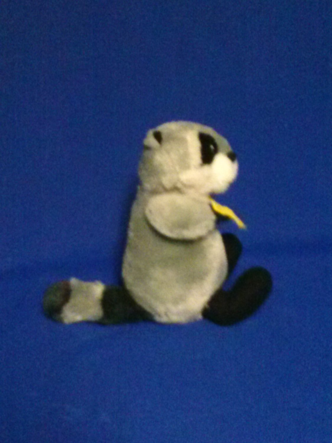 toy raccoon stuffed