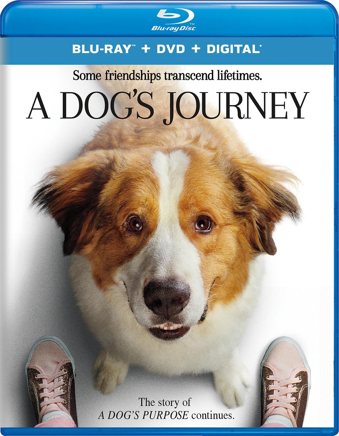 A Dog's Journey (Blu-ray) 2019