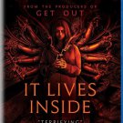 It Lives Inside (Blu-ray) 2023