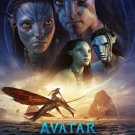 Avatar 2 (Blu-ray) 2022