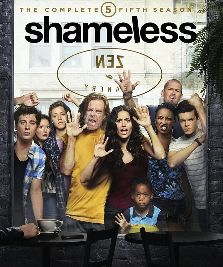 Shameless Season 5 (Blu-ray) 2015 Free Shipping