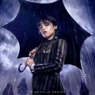 Wednesday Season 1 (Blu-ray) 2022 Free Shipping