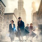 Fantastic Beasts and Where to Find Them (Blu-ray) 2016 Free Shipping