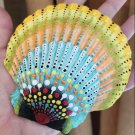 5" Scallop Shell 26