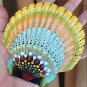 5" Scallop Shell 26