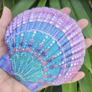 5" Scallop Shell 18