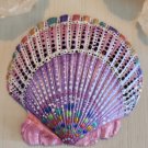 5" Scallop Shell 16