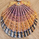 5" Scallop Shell 7