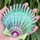 5" Scallop Shell 5