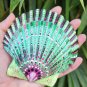 5" Scallop Shell 5