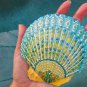 5" Scallop Shell 4