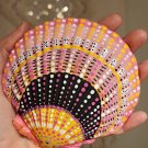 5" Scallop Shell 3
