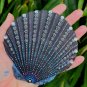 5" Scallop Shell 2