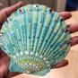 5" Scallop Shell Tiffany Blue