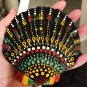 5" Scallop Shell 32 Reggae