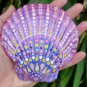 5" Scallop Shell 35
