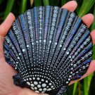 5" Scallop Shell 41