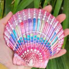 5" Scallop Shell 44