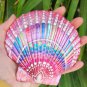 5" Scallop Shell 44