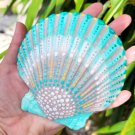 5" Scallop Shell 45