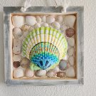 Framed Scallop Shell Framed Scallop Shell