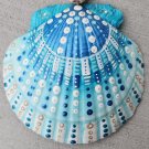5" Scallop Shell 47