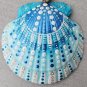 5" Scallop Shell 47