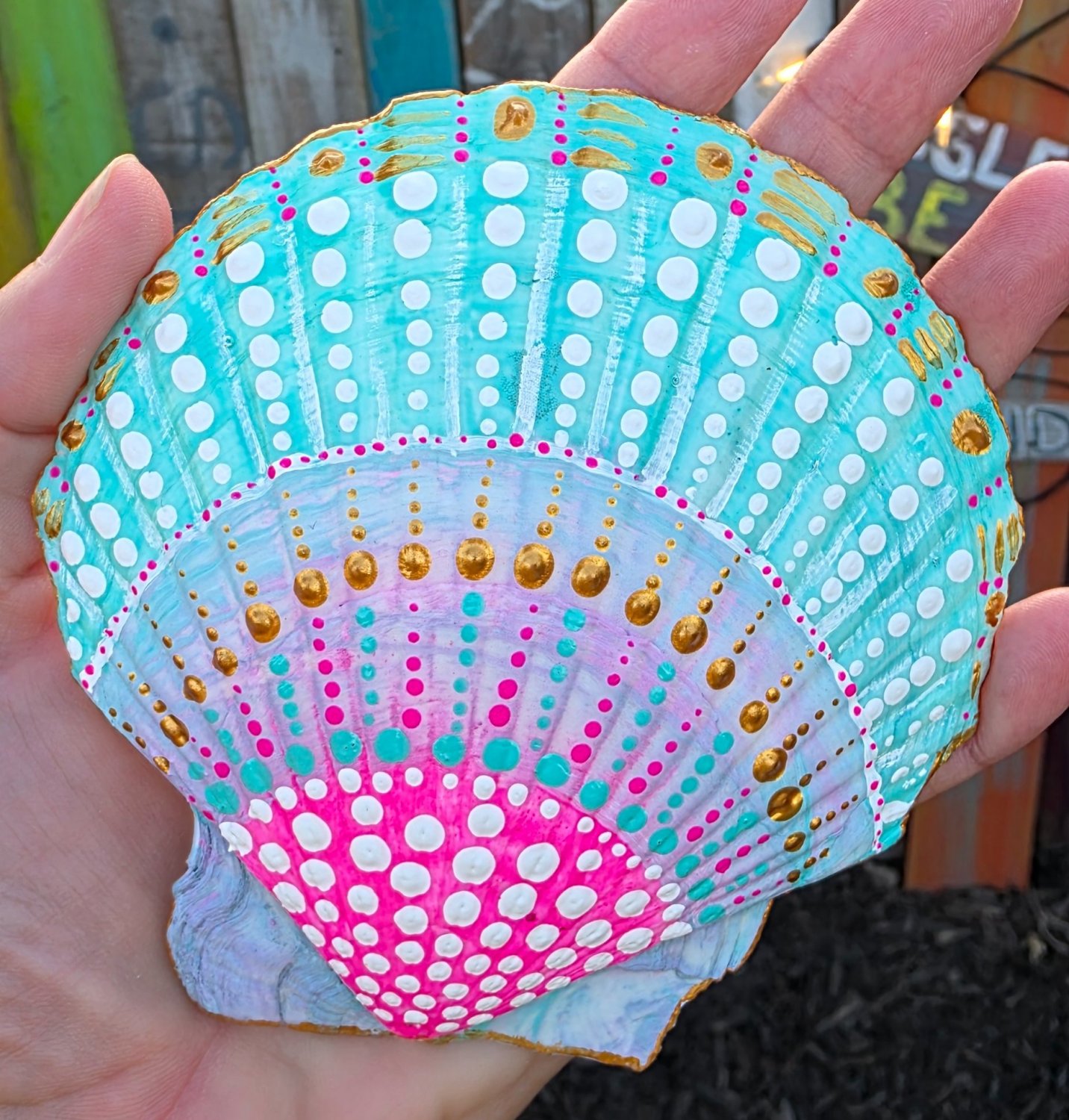 5" Scallop Shell 48