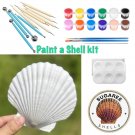 LIVE ZOOM CLASS - PAINT A SHELL