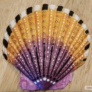 5" Scallop Shell 22