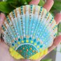 5" Scallop Shell 33
