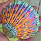 5" Scallop Shell 1