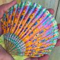 5" Scallop Shell 1
