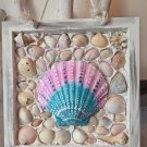 Framed Scallop Shell pink teal