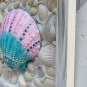 Framed Scallop Shell pink teal