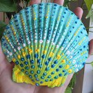 5" Scallop Shell 52
