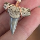 Shark Tooth Pendant 5 - Silky Shark Tooth Pendant 5 - Silky