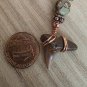 Shark Tooth Pendant 2