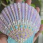 5" Scallop Shell 53