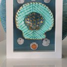 Framed Scallop Shell ((Sand Dollar)