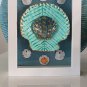 Framed Scallop Shell ((Sand Dollar)