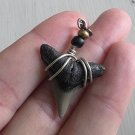 Shark Tooth Pendant 7 - Bull Shark Tooth Pendant 7 - Bull