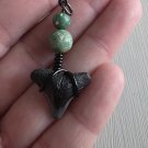 Shark Tooth Pendant 8 - Bull