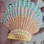 5" Scallop Shell 61
