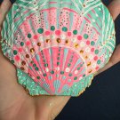 5" Scallop Shell 62