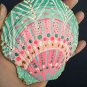 5" Scallop Shell 62