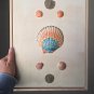 11x14 Floating Canvas - MANASOTA