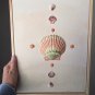 11x14 Floating Canvas - COQUINA
