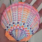 5" Scallop Shell 66