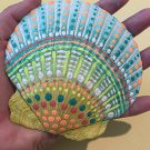 5" Scallop Shell 67
